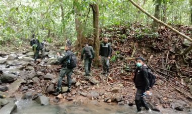 สลด!ช้างป่าเหยื่อนักล่างาช้างตายอีกเชือกบนเทือกเขาสันกาลาคีรี