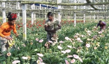 ธุรกิจทำสวนดอกไม้มีกำไรแม้นำเข้ายาก (มีคลิป)