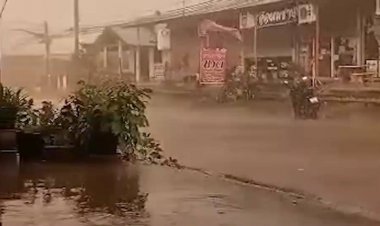 ระทึก!ฝนพายุถล่มในพื้นที่หนองบัวแดงบ้านเรือนประชาชนเสียหาย(มีคลิป)