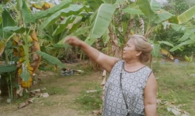 ระทึก!ช้างป่าสีดอบุกเคาะหน้าต่างบ้านยายวัย 63 กลางดึก (ชมคลิป)