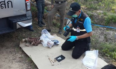 หนุ่มผงะ!!เก็บหัวมันไปดักหนู พบโครงกระดูกมนุษย์