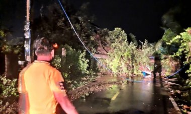 กันทรารมย์อ่วม!พายุฤดูร้อนพัดกระหน่ำบ้านเรือน-โค่นต้นไม้ขวางจราจรกลางดึก