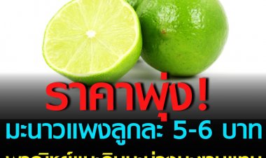 มะนาวแพงราคาพุ่งลูกละ 5-6 บาท พาณิชย์แนะ กินมะม่วง-มะขามเปียกแทน
