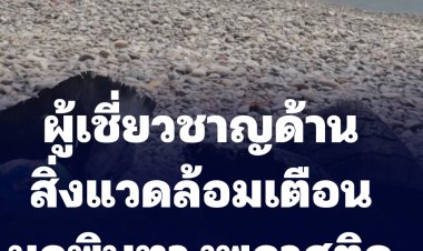 ผู้เชี่ยวชาญด้านสิ่งแวดล้อมส่งเสียงเตือนเรื่องมลพิษพลาสติก เรียกร้องให้ดำเนินการ (ชมคลิป)