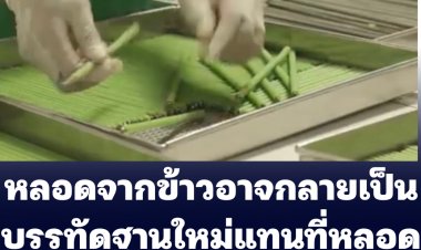 หลอดข้าวอาจกลายเป็นบรรทัดฐานใหม่แทนที่หลอดพลาสติกที่ก่อมลพิษได้ (ชมคลิป)