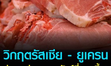 วิกฤตรัสเซีย - ยูเครนส่งผลต่ออาหารสัตว์ที่แพงขึ้น ทำหมูกลับมาขึ้นราคาอีกรอบ!