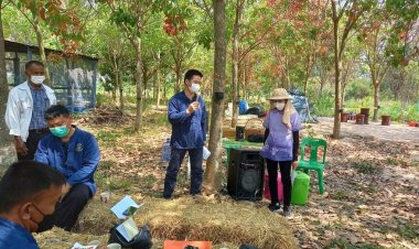 ชูโคก หนอง นา"หนูนิด  ดาสันทัด"ต้นแบบพัฒนาคุณภาพชีวิต