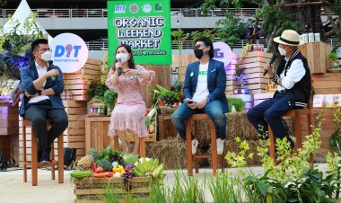 กรมการค้าภายในปลื้ม!งานตลาดนัดอินทรีย์ 3 สัปดาห์แรกยอดเจรจาธุรกิจพุ่งกว่า 200 ล้านบาท