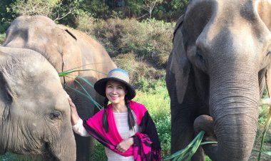 13 มีนาคม วันช้างไทย สวัสดิภาพช้าง-คนเลี้ยงช้าง ที่ต้องเร่งฟื้นฟูดูแล หลังวิกฤตโควิด