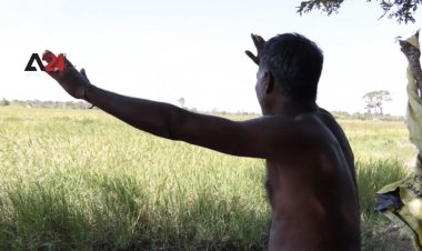 ข้อจำกัดของรัฐบาลในการทำฟาร์มส่งผลกระทบต่อภาคส่วนเกษตรกร (ชมคลิป)