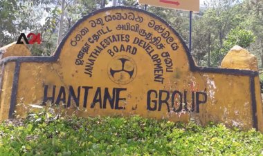 อุตสาหกรรมชาของศรีลังกา, การท่องเที่ยวที่ได้รับผลกระทบอย่างหนักจากวิกฤตยูเครน (ชมคลิป)