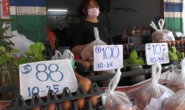 ต้นทุนพุ่ง!ผู้ค้าไข่ไก่ขยับขึ้นอีกแผงละ3บาท
