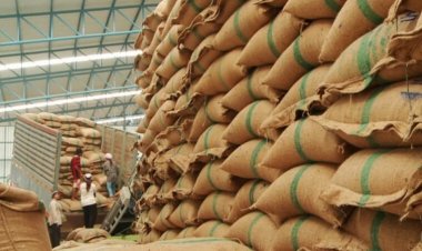 อานิสงส์บาทอ่อน!ดันส่งออกข้าวปีนี้โกย1.3 แสนล้าน