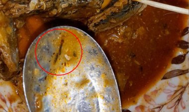 รอ 7-10 วันรู้ผลสอบตะขาบในปลากระป๋องแบรนด์ดัง (มีคลิป)