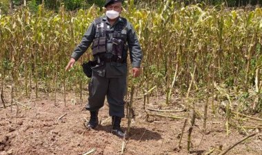 กองกำลังร่วมทหารกะเหรี่ยงเปิดฉากโจมตีเดือดเมียนมา ยึดฐานที่มั่น