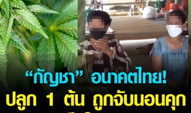“กัญชา” อนาคตไทย! ปลูก 1 ต้น ถูกจับนอนคุก - ตำรวจไม่ให้ประกันตัว 