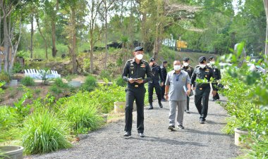 ทหารบุรีรัมย์ขึ้นเหนือเยี่ยมทหารพันธุ์ดีพราน26 ปลูกผักปลอดสารพิษช่วยปชช.สู้โควิด