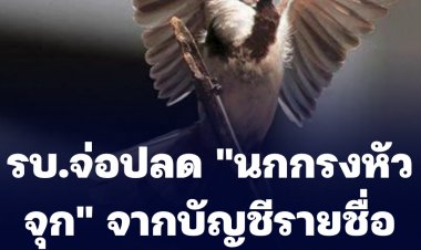 รัฐสั่ง ศอ.บต.ดำเนินการปลด "นกกรงหัวจุก" ออกจากบัญชีรายชื่อสัตว์สงวน