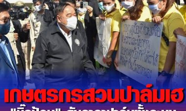 เกษตรกรสวนปาล์มเฮ "บิ๊กป้อม" ดันราคาปาล์มทั้งระบบ ฝ่าวิกฤตโควิด .