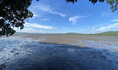 Workation Paradise Throughout Thailand ชวนเปลี่ยนสถานที่ทุกที่ ให้เป็นที่ทำงาน