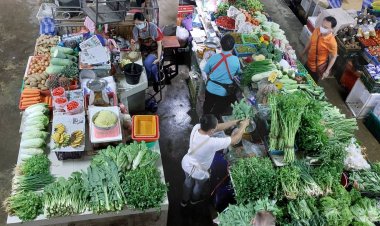 ชาวยะลาจุก!มะนาวปรับราคาขึ้น ลูก 10 บาท (มีคลิป)