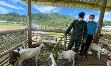 ผอ.ศปพร.เร่งส่งเสริมคุณภาพชีวิตคนยะลาเพื่อการพัฒนาที่ยั่งยืน