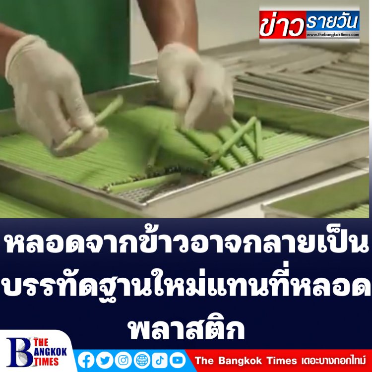 หลอดข้าวอาจกลายเป็นบรรทัดฐานใหม่แทนที่หลอดพลาสติกที่ก่อมลพิษได้ (ชมคลิป)