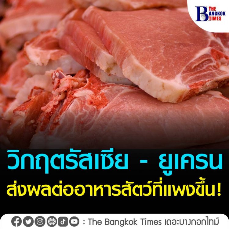 วิกฤตรัสเซีย - ยูเครนส่งผลต่ออาหารสัตว์ที่แพงขึ้น ทำหมูกลับมาขึ้นราคาอีกรอบ! 