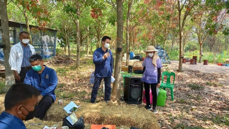 ชูโคก หนอง นา"หนูนิด  ดาสันทัด"ต้นแบบพัฒนาคุณภาพชีวิต