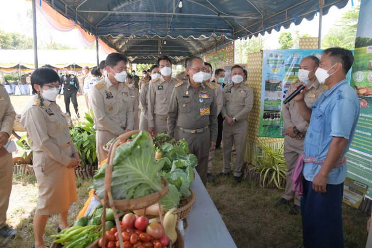 องคมนตรีลงพื้นที่ตรวจเยี่ยมโครงการในหลวงร.9