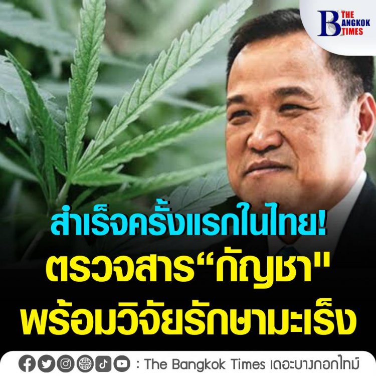 สำเร็จครั้งแรกในไทย! ตรวจสาร “กัญชา" ในเลือดผู้ป่วย พร้อมเดินหน้าวิจัยรักษามะเร็ง