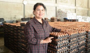 ร้อน-แล้งซ้ำเติมผลผลิตไข่ลด 15 %  เกษตรกรร้องรัฐปล่อยราคาตามกลไกลตลาด