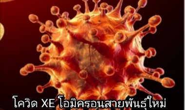 XE โอมิครอนสายพันธุ์ใหม่ ติดเร็วกว่าสายพันธุ์เดิม 43%