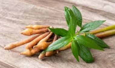 แนะคนไทยต้องเตรียมพร้อมเตียง-ยา-สมุนไพรสู้โควิดช่วงป่วยกักตัวอยู่บ้าน