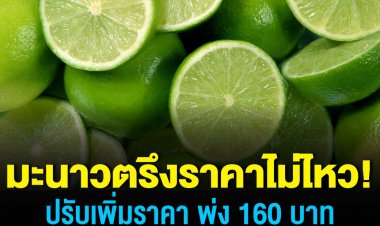 ตรึงราคาไม่ไหว มะนาวปรับราคาเพิ่มขึ้นกิโลกรัมละ 160 บาท ขณะที่ราคาไข่ไก่ขึ้นราคาตาม