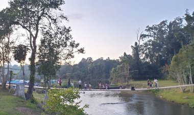 แห่สัมผัสอากาศหนาวเย็นเดือนเมษาบนเขาใหญ่ทะลักนับพันคน(ชมคลิป)