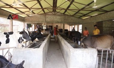 'หมู่บ้านเด็ก' ฟื้นฟูมารดา สอนทักษะชีวิตเพื่อเลี้ยงดูครอบครัว (ชมคลิป)