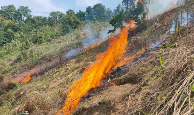 เมืองน่านอ่วม!ค่าฝุ่นพุ่งระดับสีแดงหลังชาวบ้านเร่งเผาวัชพืชเตรียมปลูกข้าวโพด