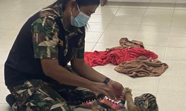 กัญจนา รุดเยี่ยม น้องขวัญเสือโคร่งน้อย ศูนย์บึงฉวาก เผย สุขภาพดีขึ้น ติดพี่เลี้ยง กินนมจุมาก