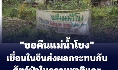 ประเทศไทย –เขื่อนในจีนส่งผลกระทบกับสัตว์ป่าในธรรมชาติและเกษตรกร (ดูคลิป)