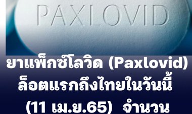 ยาแพ็กซ์โลวิด (Paxlovid) ล็อตแรกที่จะถึงไทยในวันนี้ (11 เม.ย.65)  จำนวน 1,500,000 เม็ด