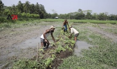 ชาวบังคลาเทศปรับฟาร์มลอยน้ำเพื่อความอยู่รอด (ชมคลิป)