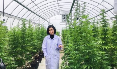 ณุศาศิริฯจับมือพันธมิตรเปิด NUSA-CSR นําพาความมั่งคั่งสีเขียว “ต้นไม้มหัศจรรย์”
