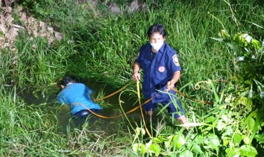 พบศพอดีตรปภ.นอนเสียชีวิตในร่องสวนหลังสภ.บางบัวทอง