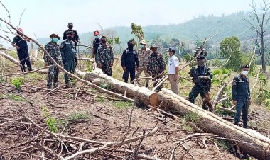 ตำรวจป่าไม้ ลุยยึดไม้ถูกโค่นล้ม ในเขตป่าสงวนแห่งชาติ(บ้านห้วยน้ำนัก)