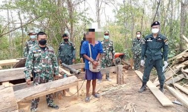 ตำรวจป่าไม้แม่สอด  กก.4 บก.ปทส.ตรวจยึดจับกุมลักลอบตัดไม้สักและอุปกรณ์เลื่อยยนต์