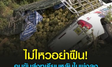 คนขับรถส่งทุเรียนเร่งทำรอบส่งทุเรียนให้แม่ค้าปลายทางให้ทันก่อนหมดสงกรานต์ ร่างกายล้าไม่ไหว หลับในวูบเดียวพุ่งลงข้างทาง เทกระจาดทุเรียน 3.3 ตัน