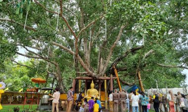 แห่กราบต้นพระศรีมหาโพธิ์เพื่อศิริมงคลก่อนกลับทำงาน(มีคลิป)