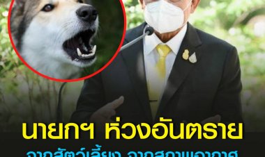 นายกฯ ห่วงอันตรายจากสัตว์เลี้ยง จากสภาพอากาศที่ร้อนมากในช่วงนี้