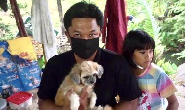 พลเมืองดีตามหาเจ้าของน้องหมาให้มารับคืน(ชมคลิป)